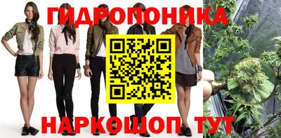 крисы Балашиха