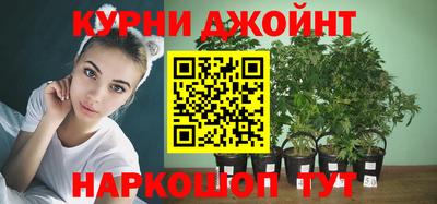 крисы Балашиха