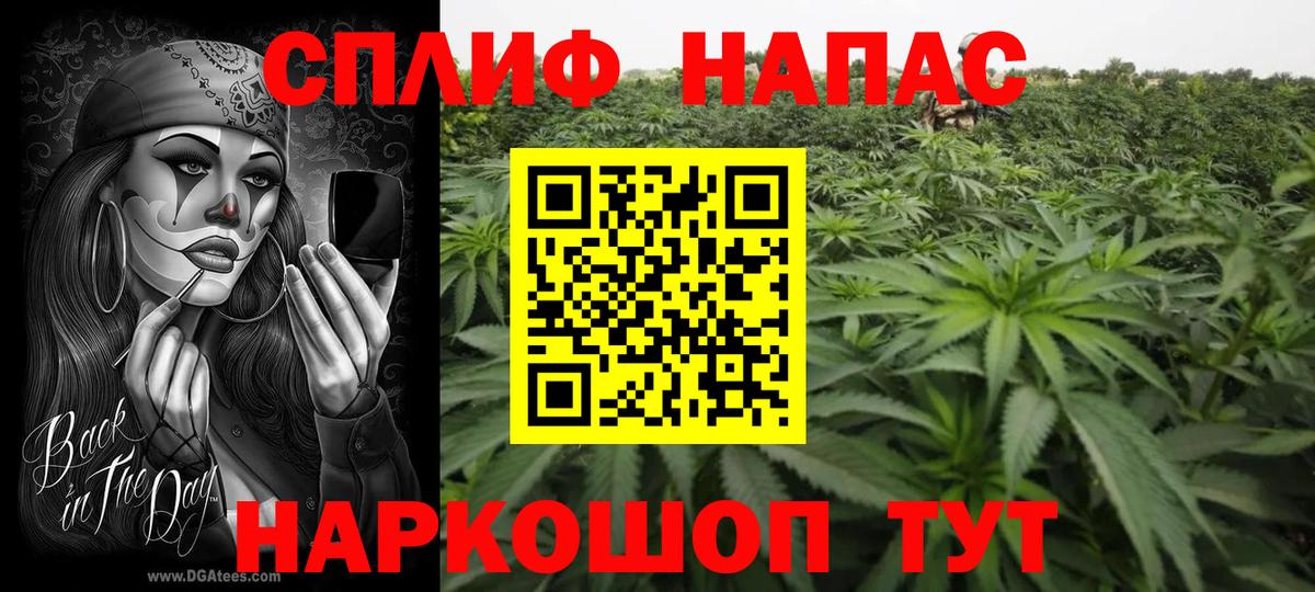 Марихуана ГИДРОПОН Горно-Алтайск